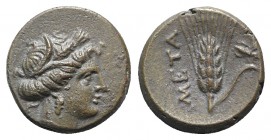 Southern Lucania, Metapontion, c. 300-250 BC. Æ (13mm, 2.76g, 5h). Wreathed head of Demeter r. R/ Grain ear with stem to r.; fly to r. Johnston Bronze...