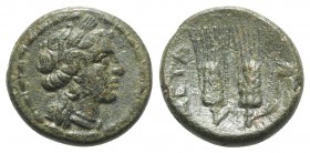 Southern Lucania, Metapontion, c. 225-200 BC. Æ (17mm, 5.02g, 5h). Wreathed head of Demeter r. R/ Two barley ears; bird on leaf. Johnston 79; HNItaly ...