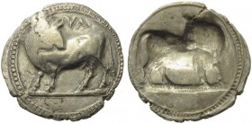 Southern Lucania, Sybaris, c. 550-510 BC. AR Stater (30mm, 8.03g, 12h). Bull standing l., looking backwards; above, MV (retrograde). R/ Same type incu...