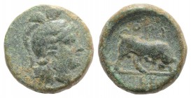 Southern Lucania, Thourioi, c. 415-400 BC. Æ (11mm, 1.75g, 9h). Helmeted head of Athena r. R/ Bull charging r.; EY in exergue. Cf. HNItaly 1909; cf. S...