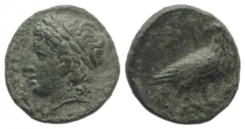 Sicily, Akragas. Phintias (287-279 BC). Æ (14mm, 2.21g, 12h). Laureate head of A...