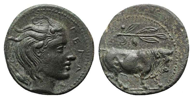 Sicily, Gela, c. 420-405 BC. Æ Tetras (15mm, 2.72g, 12h). Bull standing r.; oliv...