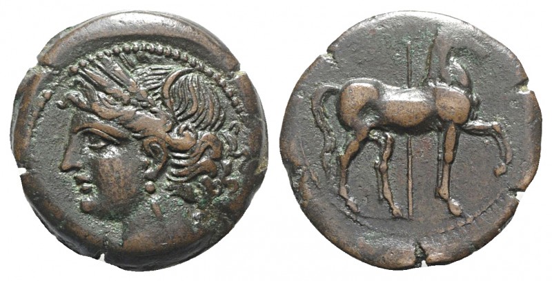 Carthage, Second Punic War, c. 215-201 BC. Æ Shekel (23mm, 8.12g, 12h). Wreathed...