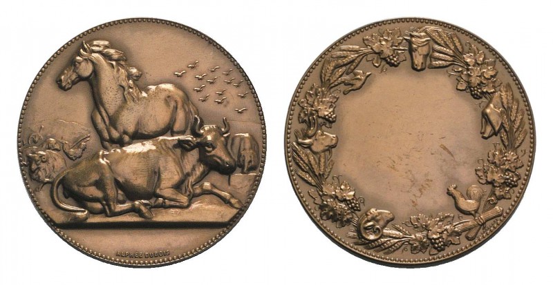 France, Æ Medal 1886 (50mm, 74.57g, 12h), by Dubois. Union Nationale des Société...