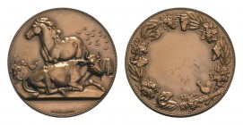 France, Æ Medal 1886 (50mm, 74.57g, 12h), by Dubois. Union Nationale des Sociétés de Tir de France. Near FDC