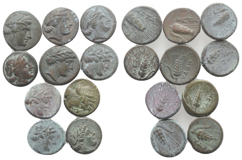 Southern Lucania, Metapontion, lot of 10 Æ coins, to be catalog. Lot sold as is,...