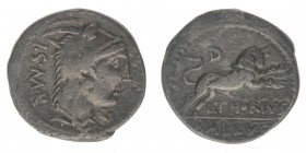 ROM Republik L.Thorius Balbus 104 v.Chr.
Denar

Kopf der Juno Sospita mit Ziegenfell ISMR
Stier nach rechts springend, oben Kontrollmarke D, unten 
L....