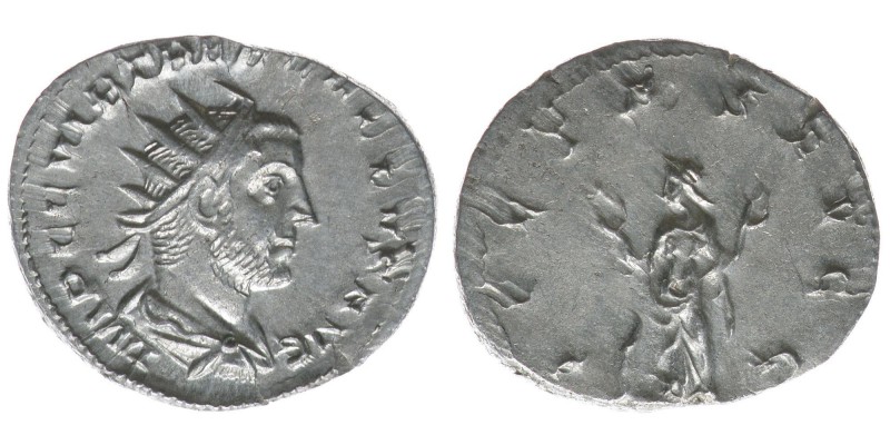 ROM Kaiserzeit Trebonianus Gallus 251-253
Antoninian

IMP C C VIB TREB GALLVS P ...