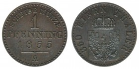 PREUSSEN Friedrich Wilhelm IV. 1840-1861
1 Pfennig 1855 A
AKS 92 1,50 Gramm vz+