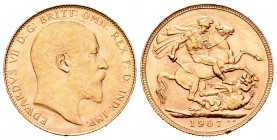 Australia. Eduardo VII. 1 soberano. 1907. Perth. P. (Km-15). Au. 7,98 g. Golpecitos en el canto. EBC-/EBC. Est...220,00.
