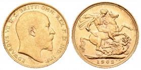 Gran Bretaña. Edward VII. 1 soberano. 1902. (Km-805). (Fried-265). Au. 7,94 g. MBC+. Est...230,00.
