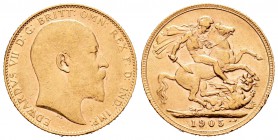Gran Bretaña. Eduardo VII. 1 soberano. 1905. (Km-805). (Fried-400). Au. 7,97 g. MBC/MBC+. Est...220,00.