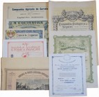 Lote (8 Títulos)
Lote (8 Títulos) Cª de Crédito Edificadora 1912 (BC); Cª Portuguesa de Seguros "Meridional" 1918 (BC+); Cª Agrícola da Cariata 1919;...