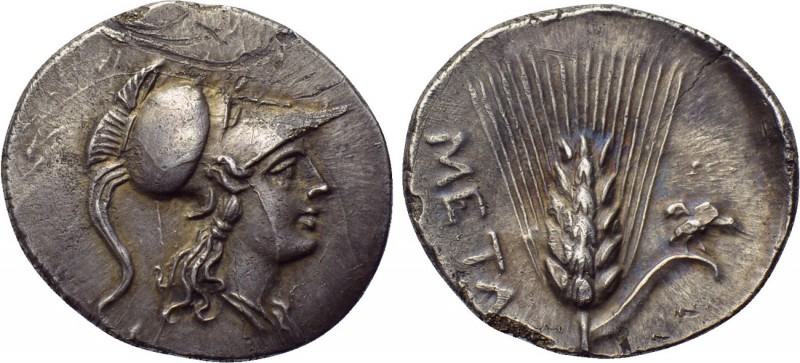 LUCANIA. Metapontion. Punic occupation. Half Shekel or Drachm (Circa 215-207 BC)...