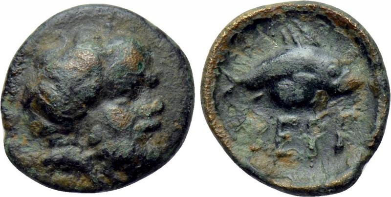 KINGS OF THRACE. Bergaios (Early 4th century BC). Ae. 

Obv: Bearded head of S...