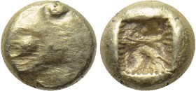 ASIA MINOR. Uncertain. EL 1/24 Stater (Circa 6th century BC).