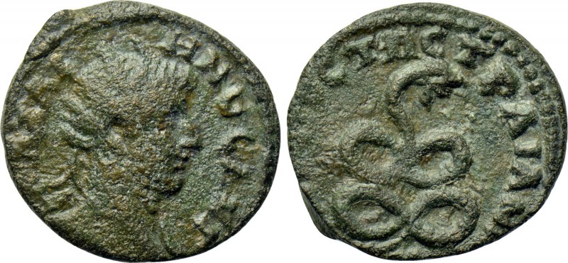 THRACE. Augusta Trajana. Gallienus (253-268). Ae. 

Obv: ΓΑΛΛΙΗΝΟC ΑVΓ. 
Radi...