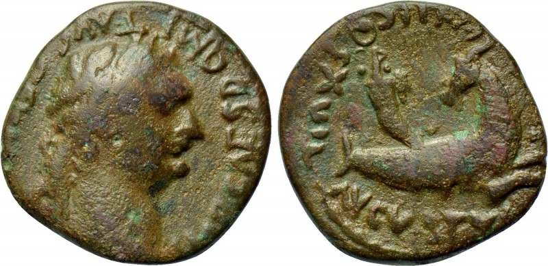 MYSIA. Parium. Domitian (81-96). Ae. 

Obv: IMP CAES DOMIT AVG GERM. 
Laureat...