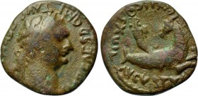 MYSIA. Parium. Domitian (81-96). Ae.