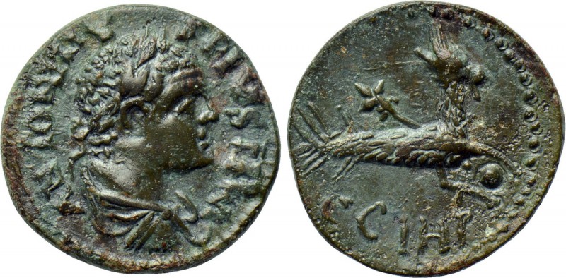 MYSIA. Parium. Caracalla (198-217). Ae. 

Obv: ANTONINVS PIVS AV. 
Laureate, ...