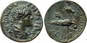 MYSIA. Parium. Caracalla (198-217). Ae.