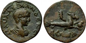 MYSIA. Parium. Severus Alexander (Caesar, 222). Ae.