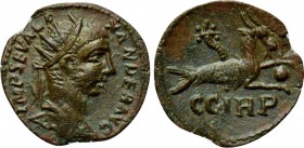 MYSIA. Parium. Severus Alexander (222-235). Ae.