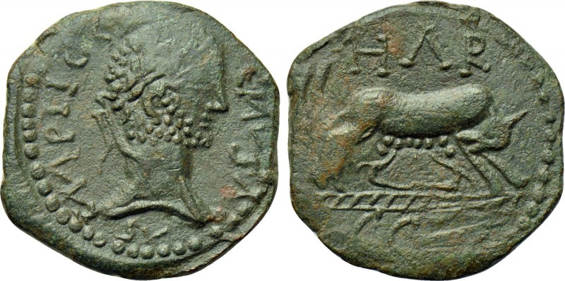 MYSIA. Parium. Gallienus (253-268). Ae. 

Obv: IMP LIC G[...]ЄИVS AVG. 
Laure...