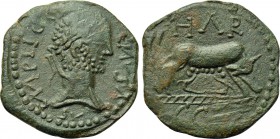 MYSIA. Parium. Gallienus (253-268). Ae.