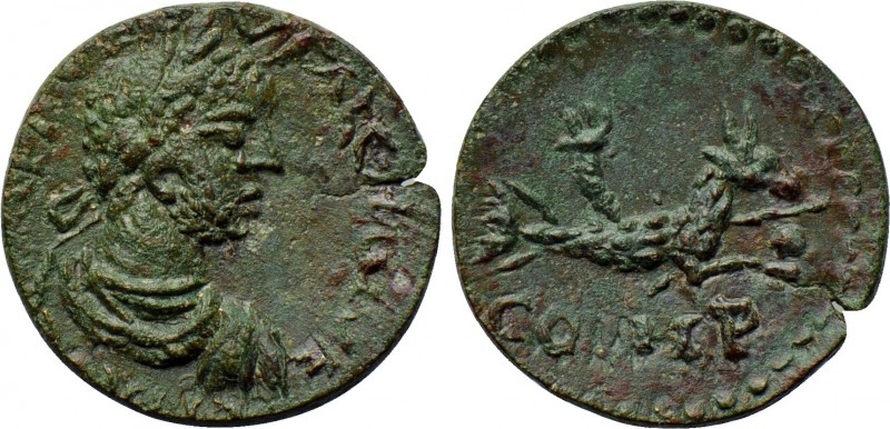 MYSIA. Parium. Gallienus (253-268). Ae. 

Obv: Laureate, draped and cuirassed ...