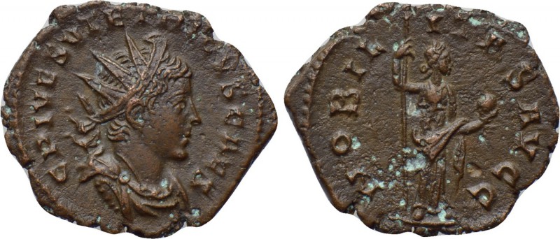 TETRICUS II (Caesar, 273-274). Antoninianus. Colonia Agrippinensis. 

Obv: C P...