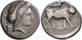 CAMPANIA. Neapolis. Circa 320-300 BC. Didrachm or Nomos (Silver, 19 mm, 7.15 g, 7 h). Diademed head of a nymph to right, wearing earring and necklace;...