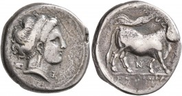 CAMPANIA. Neapolis. Circa 300-275 BC. Didrachm or Nomos (Silver, 20 mm, 6.89 g, 2 h). Diademed head of a nymph to right, wearing earring and necklace;...