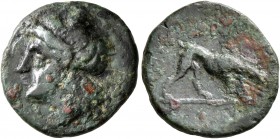 CAMPANIA. Nuceria Alfaterna. Circa 250-225 BC. AE (Bronze, 15 mm, 2.17 g, 6 h). Diademed youthful male head to left. Rev. 'nuvkrinum alafaternum' (in ...