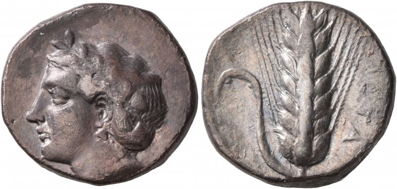 LUCANIA. Metapontion. Circa 400-340 BC. Didrachm or Nomos (Silver, 20 mm, 7.65 g...