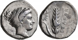 LUCANIA. Metapontion. Circa 400-340 BC. Didrachm or Nomos (Silver, 20 mm, 7.72 g, 11 h). Head of Demeter to right, hair bound in topknot. Rev. METAΠON...