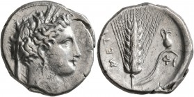 LUCANIA. Metapontion. Circa 340-330 BC. Didrachm or Nomos (Silver, 21 mm, 7.81 g, 6 h). Head of Demeter to right, wearing wreath of grain ears, triple...