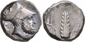 LUCANIA. Metapontion. Circa 340-330 BC. Distater (Silver, 23 mm, 15.86 g, 10 h). Bearded head of Leukippos to right, wearing Corinthian helmet decorat...