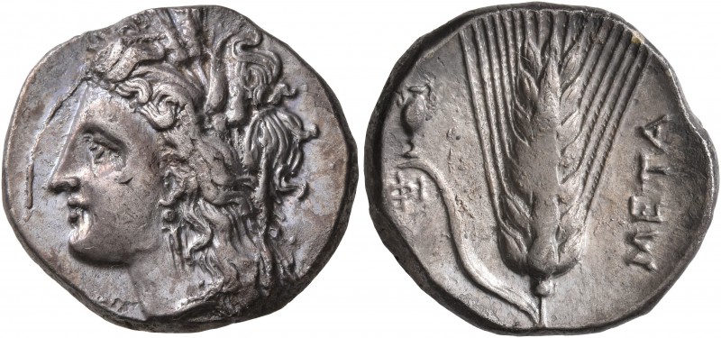 LUCANIA. Metapontion. Circa 330-290 BC. Didrachm or Nomos (Silver, 21 mm, 7.72 g...