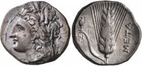 LUCANIA. Metapontion. Circa 330-290 BC. Didrachm or Nomos (Silver, 21 mm, 7.72 g, 10 h). Head of Demeter to left, wearing wreath of grain ears. Rev. M...