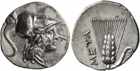 LUCANIA. Metapontion. Punic occupation, circa 215-207 BC. Half Shekel (Silver, 19 mm, 3.49 g, 9 h). Head of Athena to right, wearing crested Corinthia...
