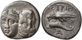 MOESIA. Istros. Circa 256/5-240 BC. Drachm (Silver, 17 mm, 5.41 g, 12 h). Two facing male heads side by side, one upright and the other inverted. Rev....