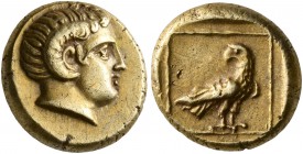 LESBOS. Mytilene. Circa 377-326 BC. Hekte (Electrum, 11 mm, 2.55 g, 3 h). Head of Apollo Karneios to right, wearing horn of Ammon over his ear. Rev. E...