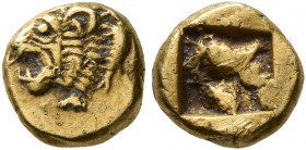 IONIA. Phokaia. Circa 625/0-522 BC. Myshemihekte – 1/24 Stater (Electrum, 6 mm, 0.64 g). Head of roaring lion to left; to right, small seal upward. Re...