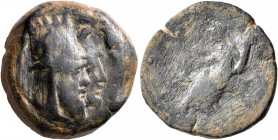 KINGS OF ARMENIA. Tigranes VI, second reign, 66/7. Tetrachalkon (Bronze, 18 mm, 7.30 g, 2 h), Arados, CY 325 = 66/7. Jugate heads of Tigranes VI, wear...