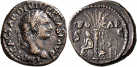 Titus, 79-81. Semis (Orichalcum, 20 mm, 5.42 g, 7 h), uncertain mint (in Thrace?), 80-81. IMP T CAESAR DIVI VESPAS F AVG Laureate head of Titus to rig...