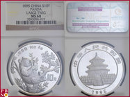 10 Yuan, 1995, 1 ounce Silver Panda Large Twig, KM Y-485.1, in NGC holder nr. 3593096-019

MS 68
