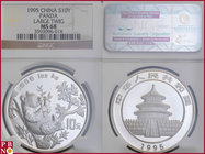 10 Yuan, 1995, 1 ounce Silver Panda Large Twig, KM Y-485.1, in NGC holder nr. 3593096-018

MS 68