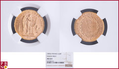 20 Francs 1896A Fasces / Faisceau, Gold, Fr 592, Gad 1063, in NGC holder nr. 4377084-021. Population (NGC/PCGS combined): 11. NO (0%) BUYER'S PREMIUM ...