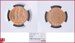 20 Francs 1896A Fasces / Faisceau, Gold, Fr 592, Gad 1063, in NGC holder nr. 4377084-077. Population (NGC/PCGS combined): 11. NO (0%) BUYER'S PREMIUM ...